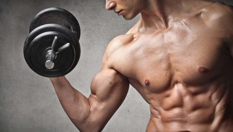 exercices pour hommes